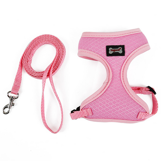 Non-Slip Cat Harness with Leash | Mesh & Fabric