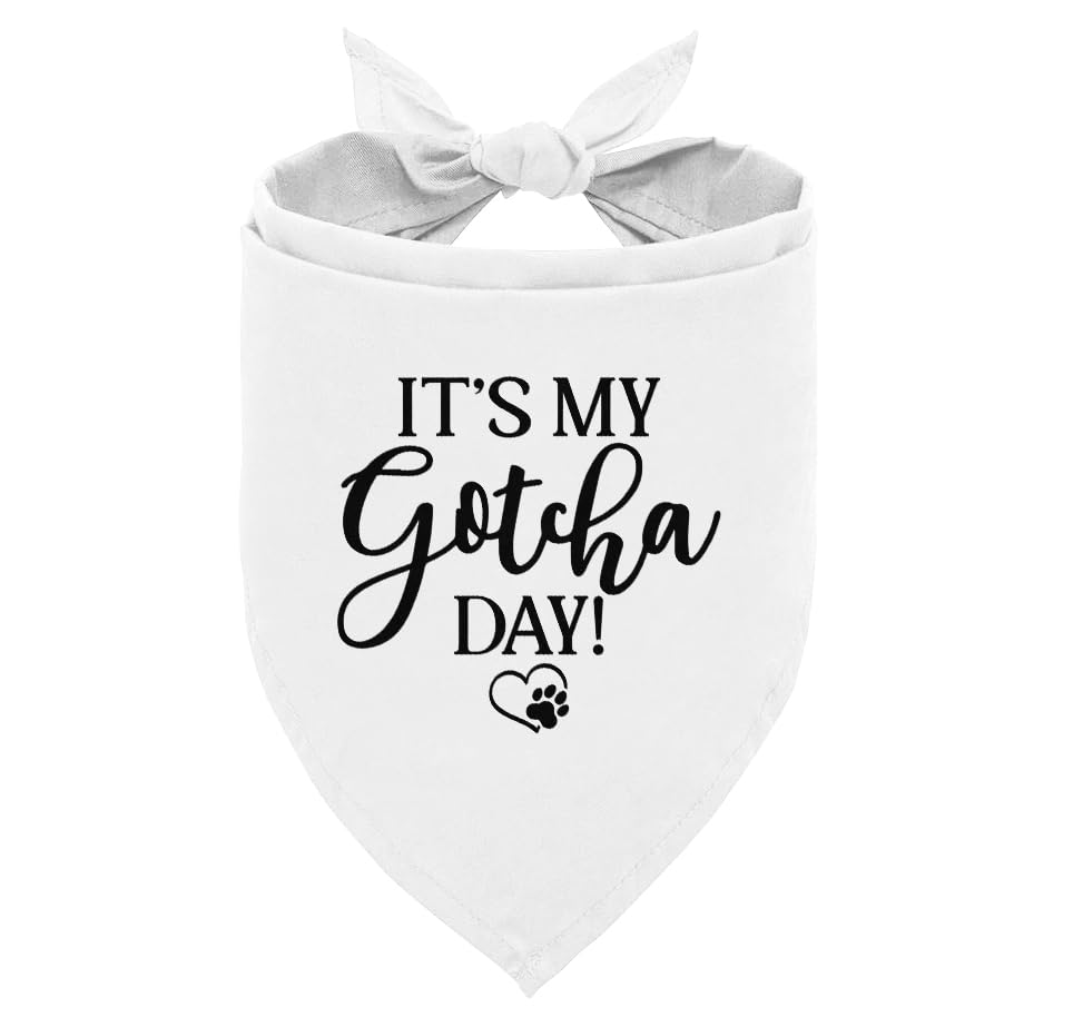 "It's My Gotcha Day!" Dog Bandana | Adoption Day Celebration Scarf