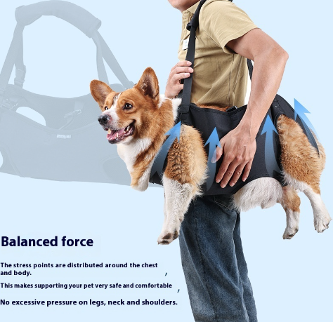 Dog Support & Lift Harness Strap | Injury Recovery & Travel Aid