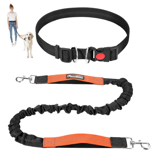 Hands-Free Dog Leash & Waist Belt | Bungee Leash with Reflective Stitching