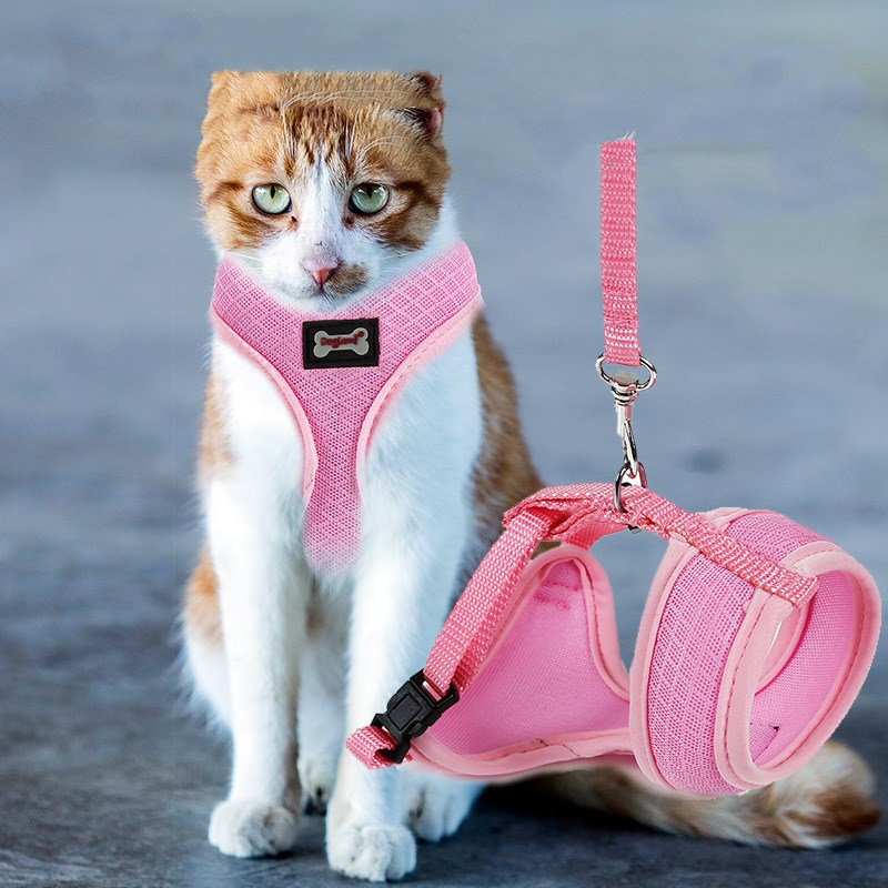 Non-Slip Cat Harness with Leash | Mesh & Fabric