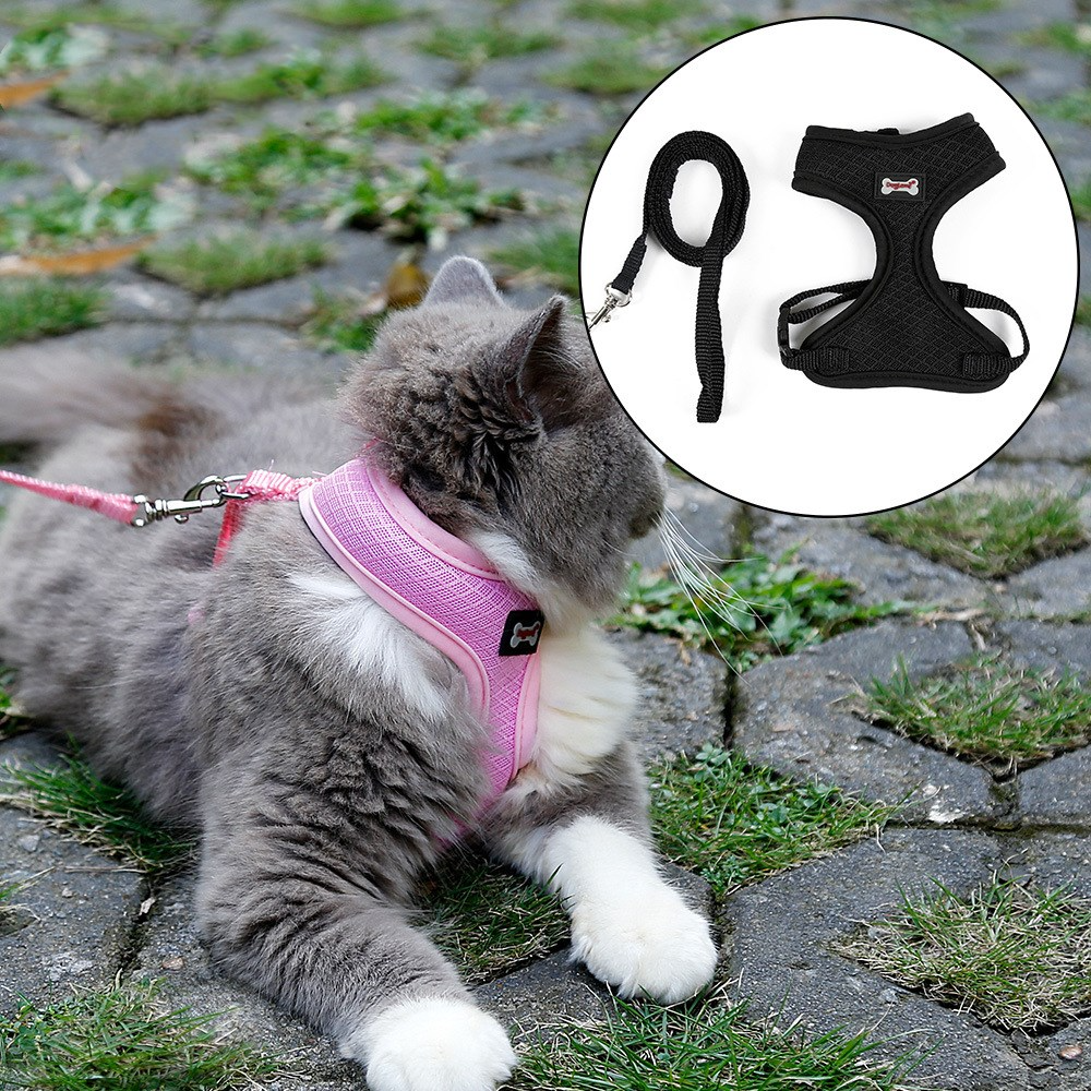 Non-Slip Cat Harness with Leash | Mesh & Fabric