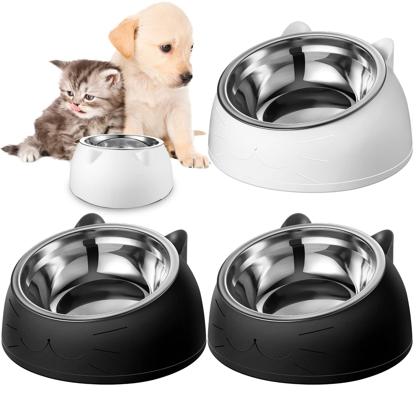 Raised Stainless Steel Pet Bowls | 15° Tilted Elevated Set of 4