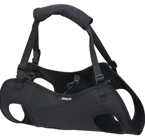 Dog Support & Lift Harness Strap | Injury Recovery & Travel Aid