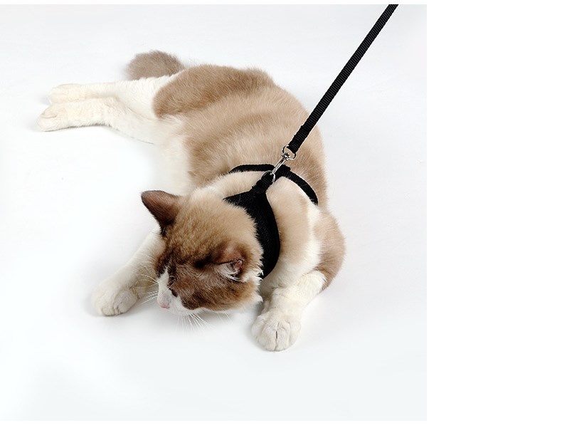 Non-Slip Cat Harness with Leash | Mesh & Fabric