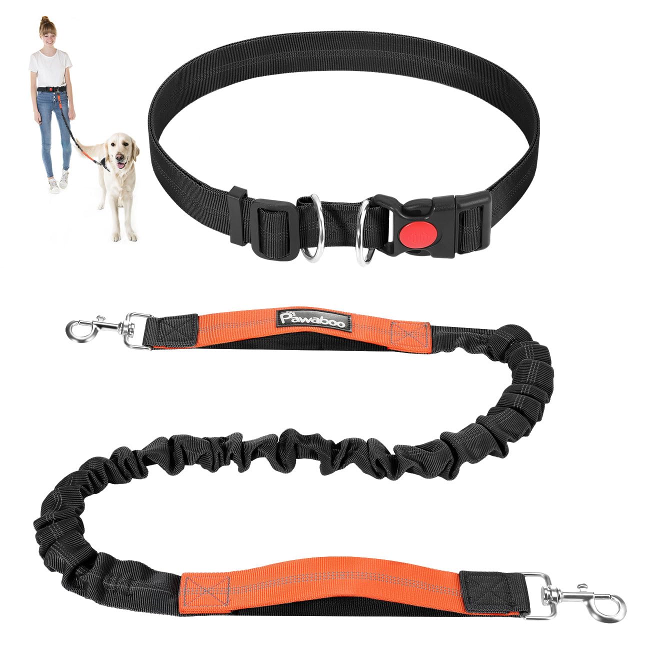 Hands-Free Dog Leash & Waist Belt | Bungee Leash with Reflective Stitching